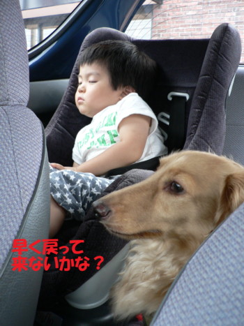 早く戻って来ないかな？.JPG
