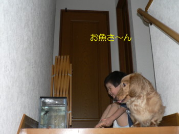 お魚さ～ん.JPG