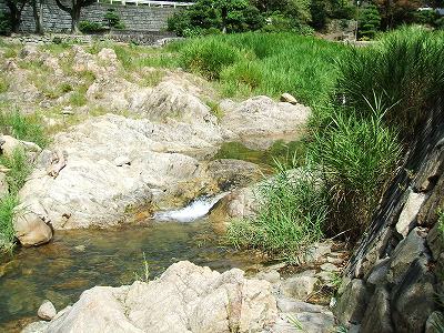 コテージ下の川