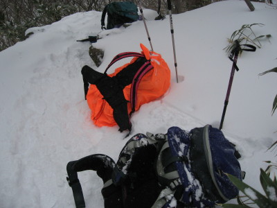 IMG_1713_1.jpg