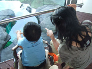 DSCF1612.JPG