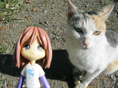 新人のミケ（仮名）でーす