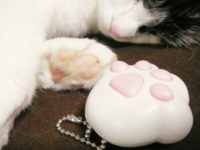 本物とニセモノ