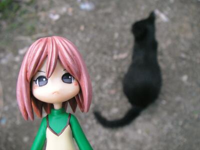 黒猫とピンキー