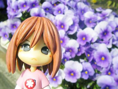 是非ともこの花と一緒に撮りたかったのです！