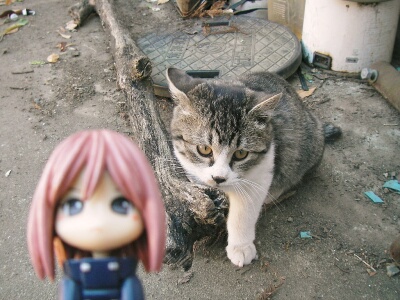 日に日に大きくなっています