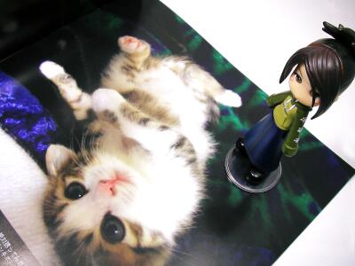 美人猫ポッキー♪