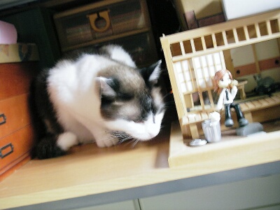 ここに何かあるような･･･