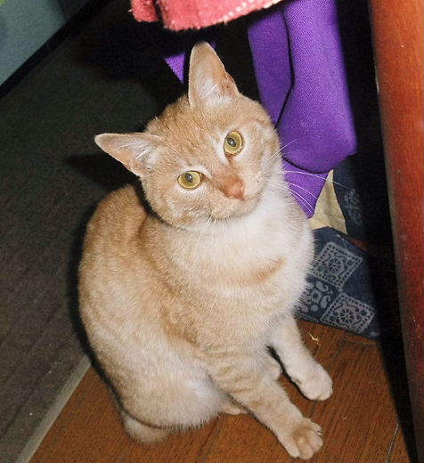 はじめまして！　2011.01.17