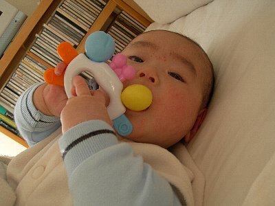 かにさん