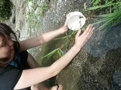 ５センチのおたまじゃくし！