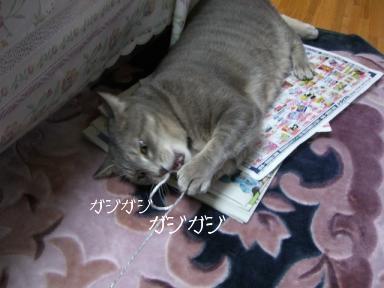 ひかえめながら１