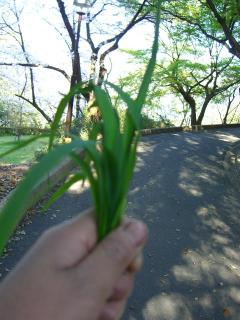 お土産～♪