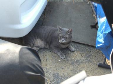 風が･･･寒い