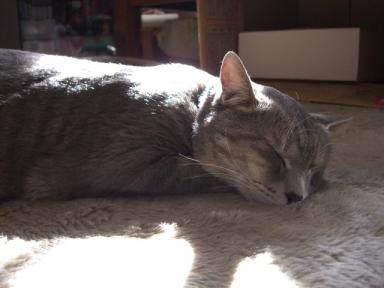 気持ち良さそうね♪