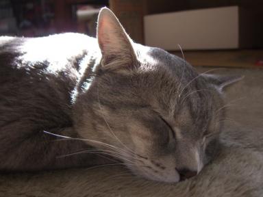 ｳﾌﾌ（*⌒ｍ⌒*)