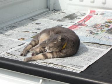 気持ち良さそう！