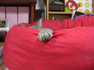 ズーーーム！アップ！