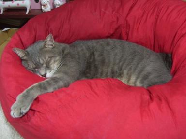 ププッ（≧ｍ≦）