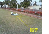 公園.jpg