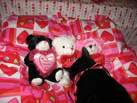 Ekkun&Valentine3Bears-Feb2007-#3