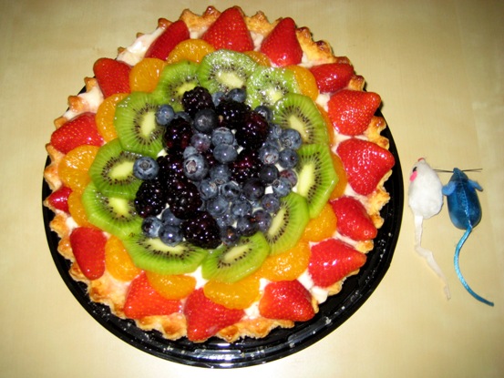 FruitTart-June09-#4