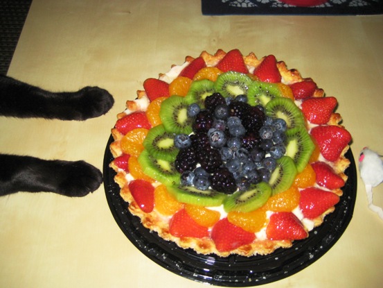 Ekkun'sPaws&FruitTart-June2009