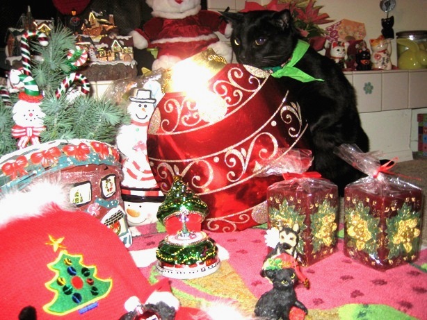 Ekkun'sChristmas-2007-#2