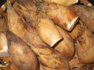 2007_0315mesi0003.JPG
