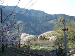 2007_0405mesi0016.JPG