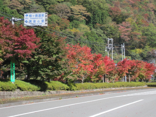 2009/10/30梅ヶ島７
