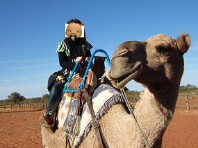 Camel