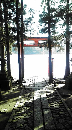 箱根神社09106.JPG