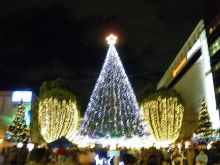 IMGP0043.JPG