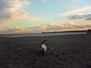 ちょっと夕焼け。