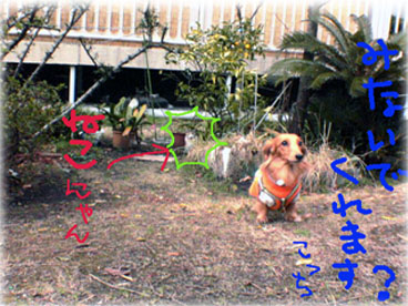 お邪魔しましたぁ～