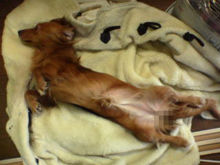 ＾＾やっぱ、そのポーズなのね。