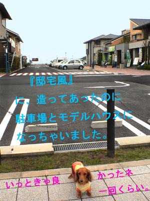 住宅展示場3