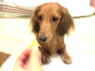 これでさいごよ。