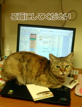 パソコンは暖かい