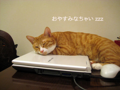 おやちゅみｚｚｚ