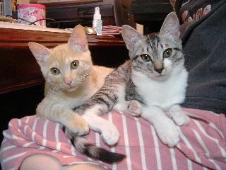 DSC01646.2.JPG