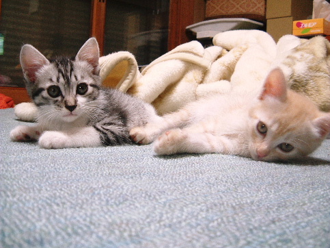 2005年11月07日_DSCF0033.JPG