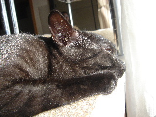 DSC01895.JPG