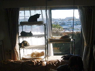 DSC01927.JPG