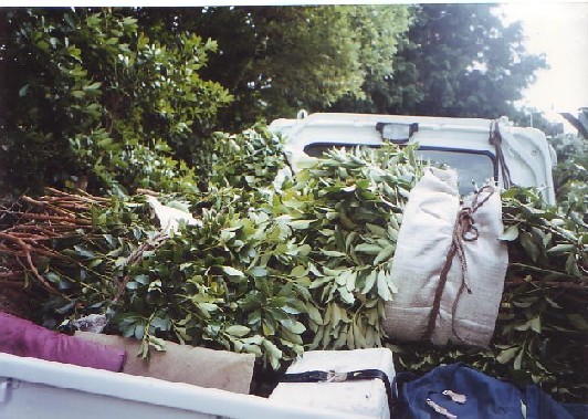 トラックの荷台