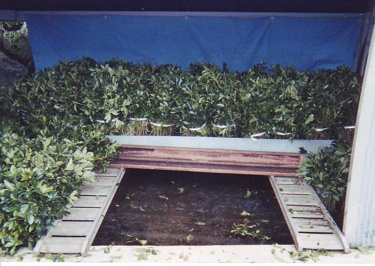 貯水プラスチック池