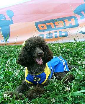P1000016.JPG
