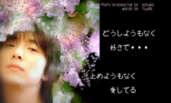 とめようがなく・・・