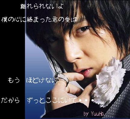 もう　ほどけない